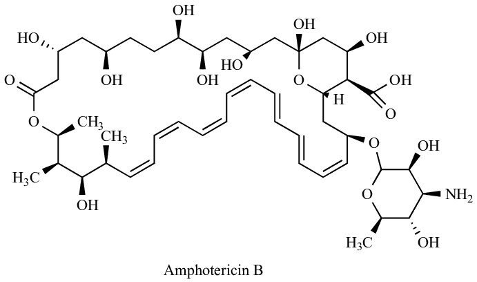 Amphotericin B